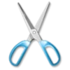 Software Logo