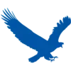 Software Logo